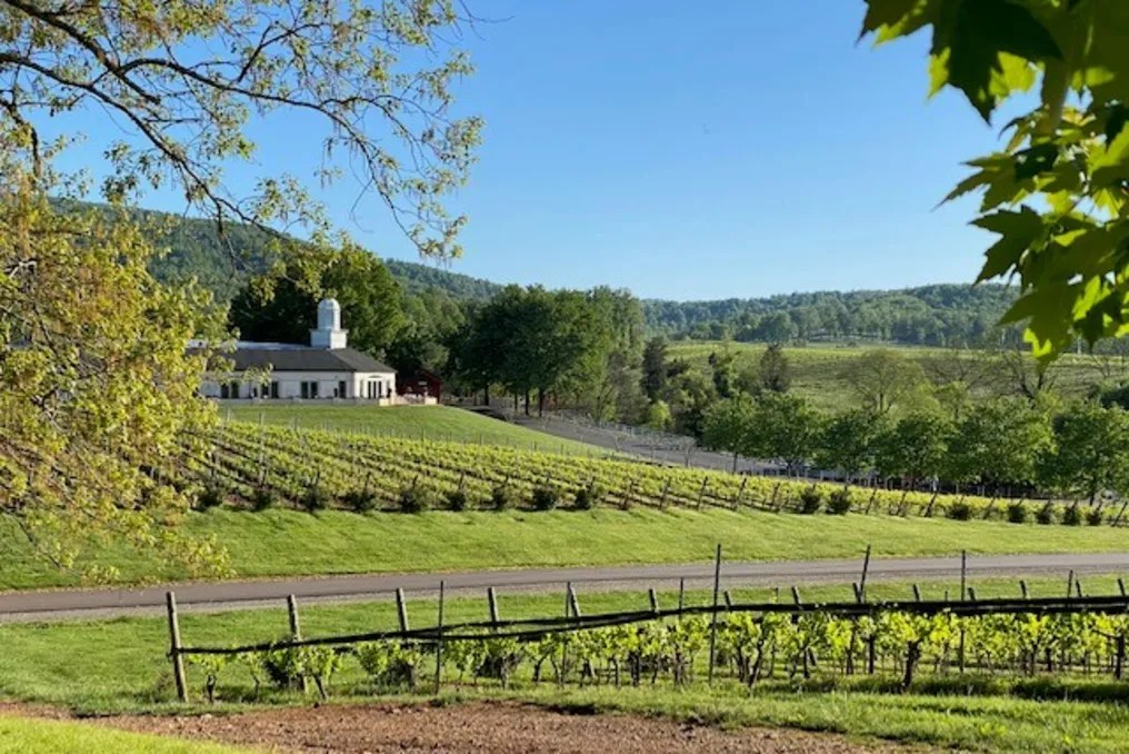 Barboursville Vineyards #19