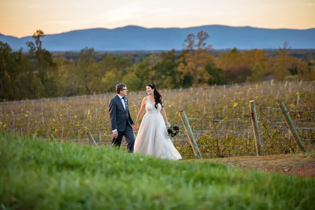 Barboursville Vineyards #29