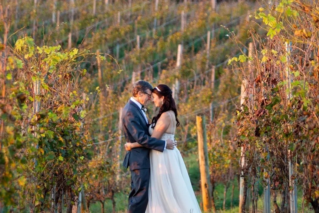 Barboursville Vineyards #32