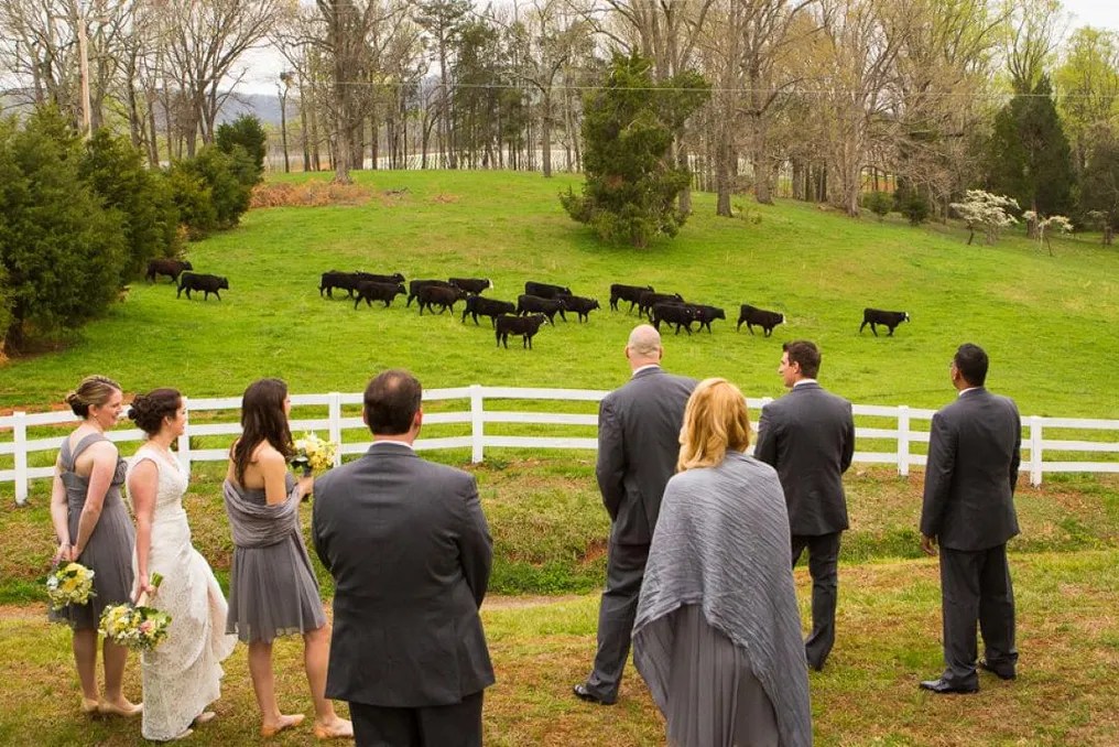 Barboursville Vineyards #59