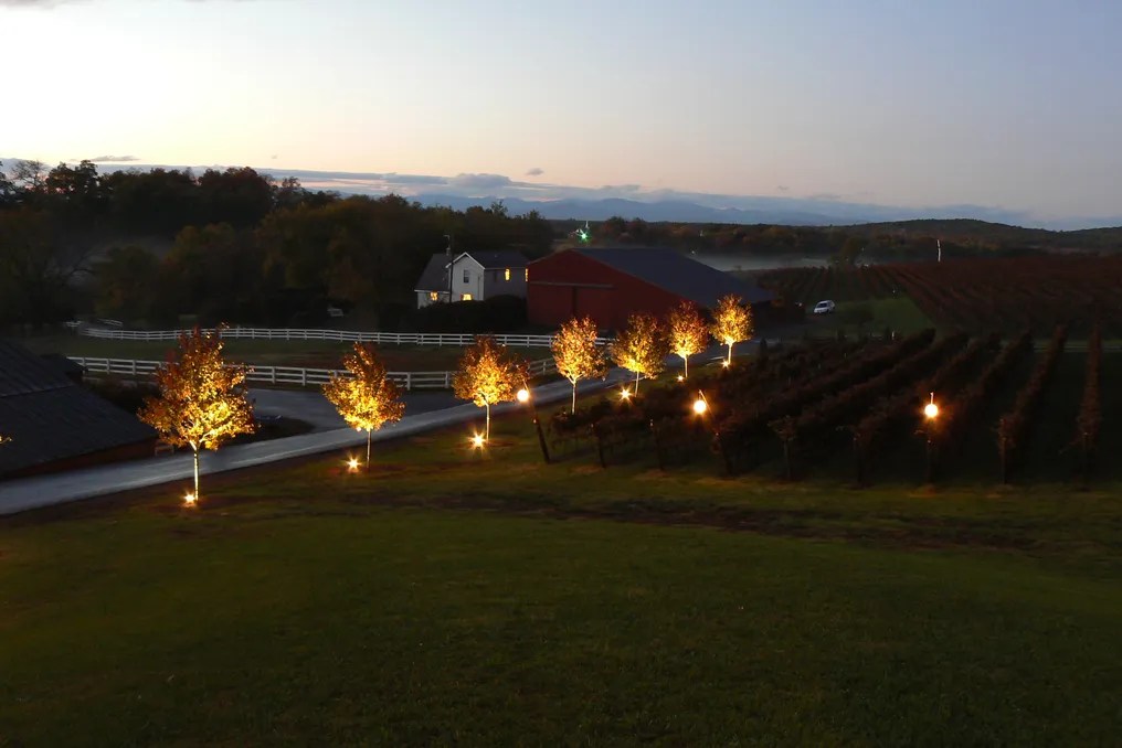 Barboursville Vineyards #61
