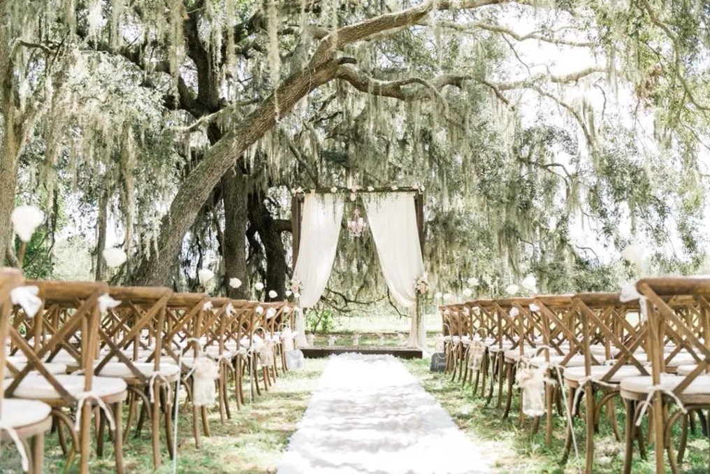 The Orange Blossom Barn #9