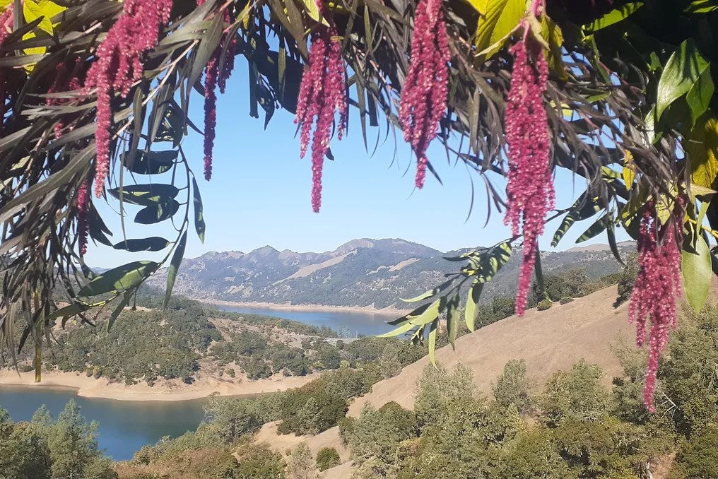 The Ranch at Lake Sonoma #17