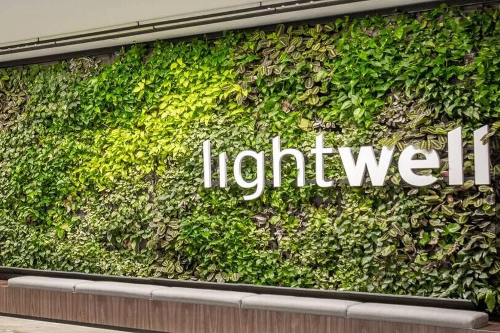 Lightwell #8