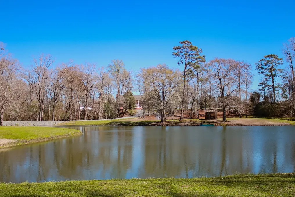 Stonington Farms #4