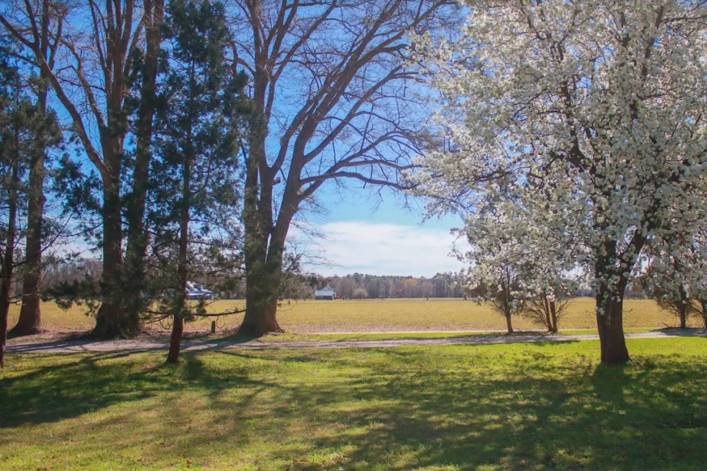 Stonington Farms #5