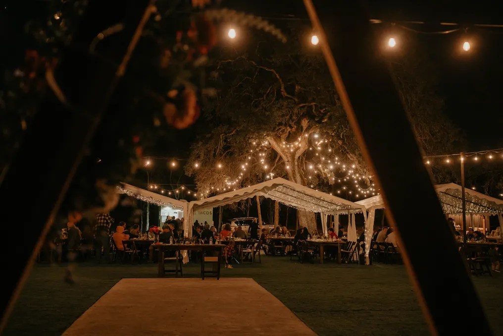 Ohana Grove #1