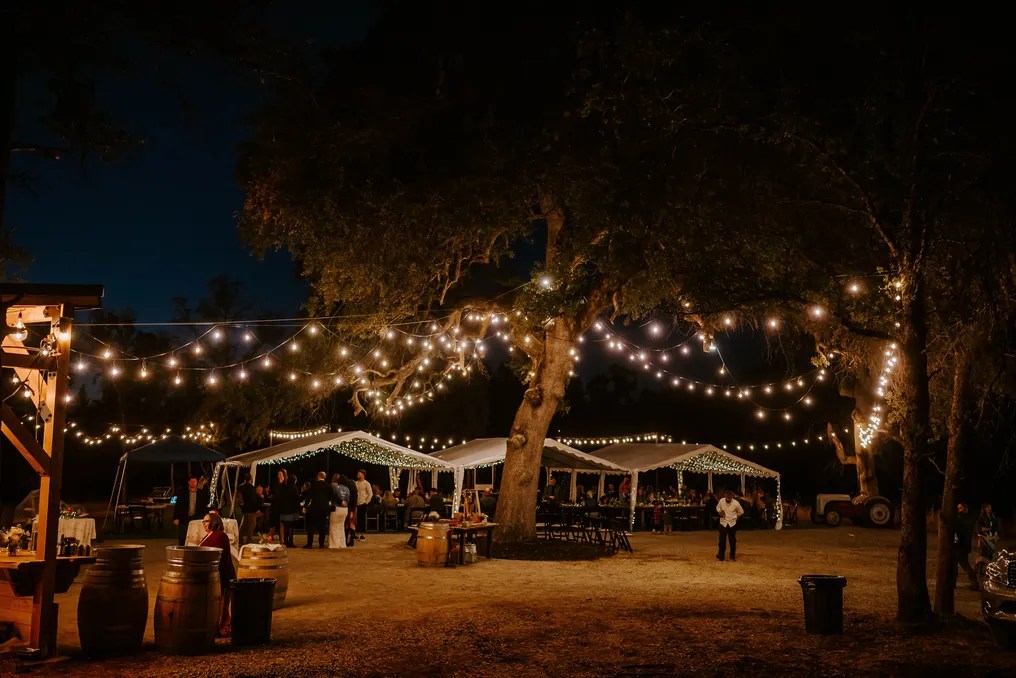 Ohana Grove #6