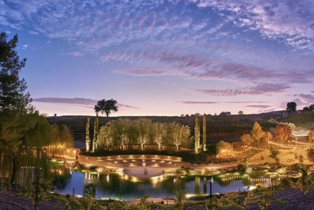 Terra Mia Vineyards #4