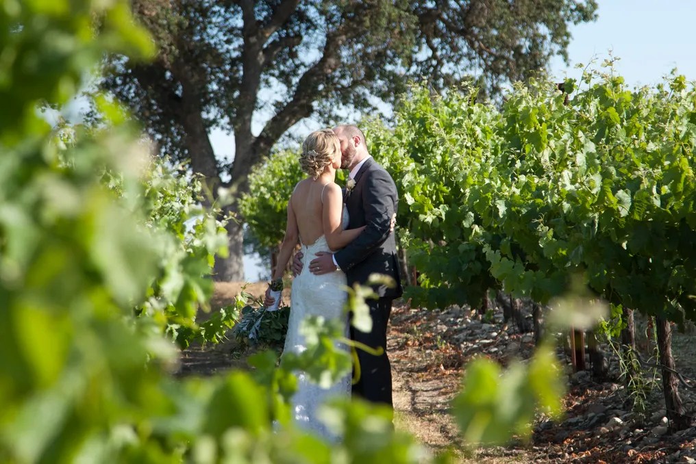 Terra Mia Vineyards #9