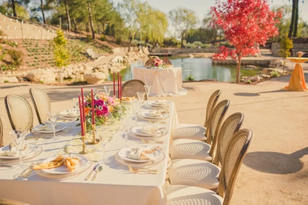Terra Mia Vineyards #18