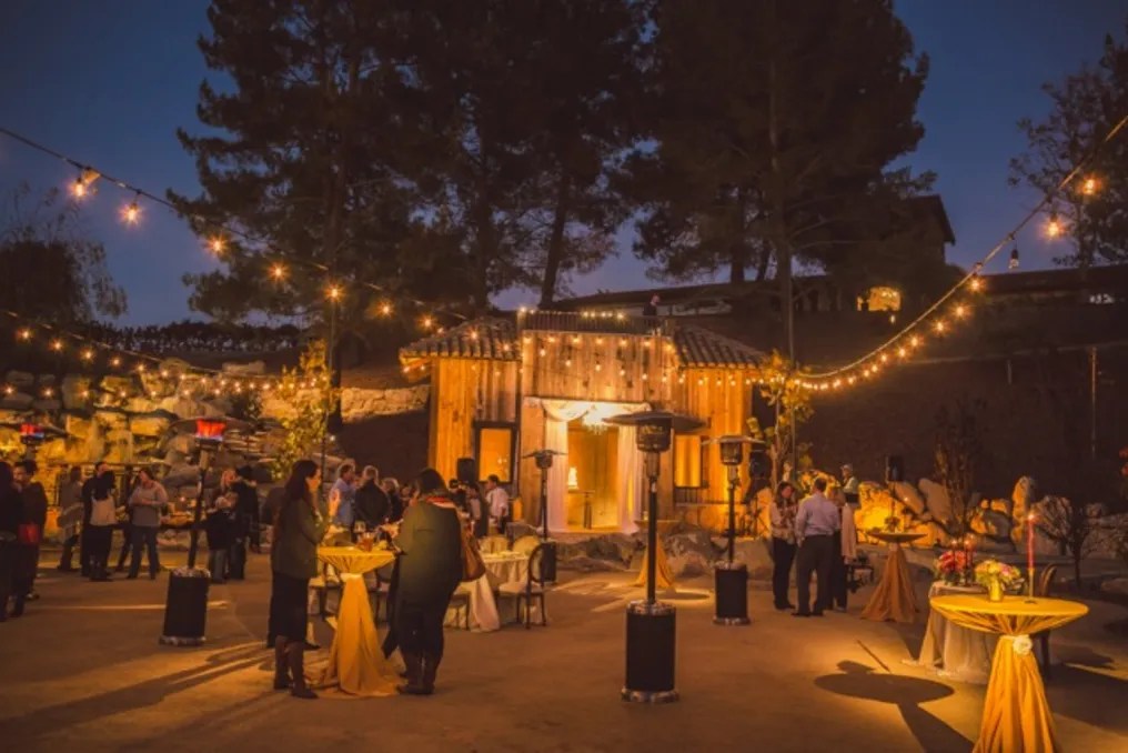 Terra Mia Vineyards #20