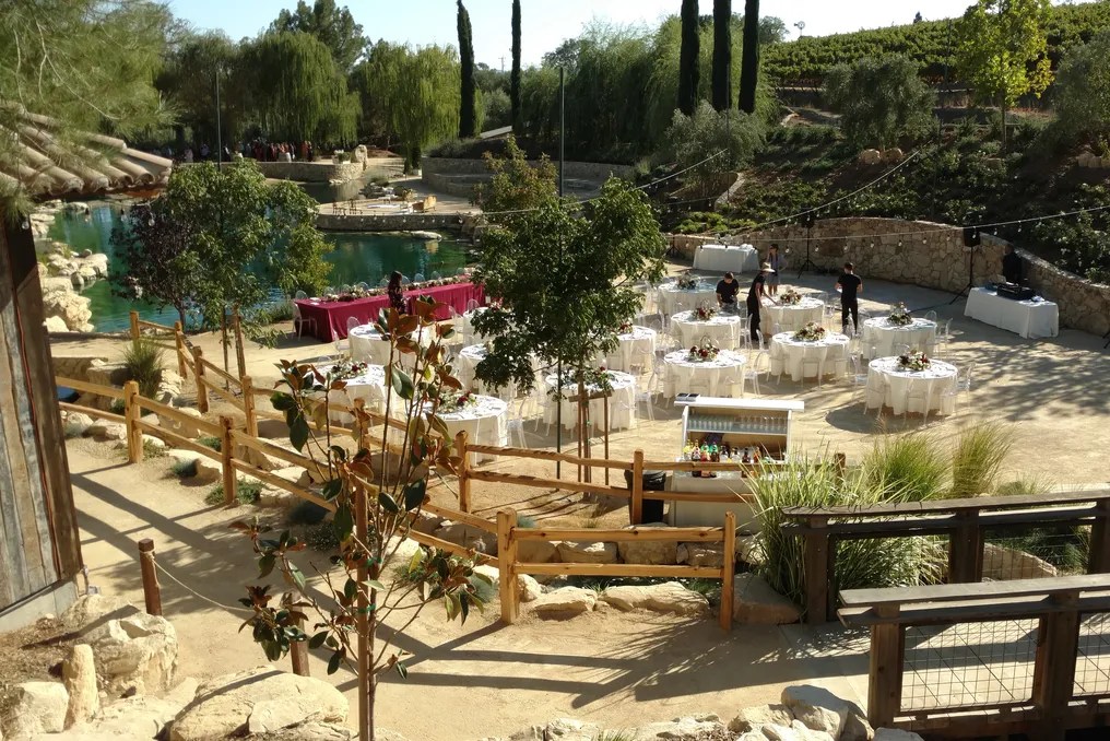 Terra Mia Vineyards #22
