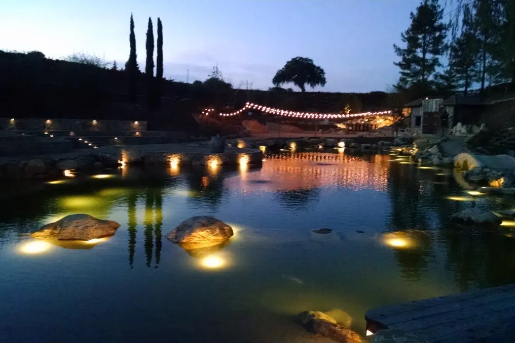 Terra Mia Vineyards #25
