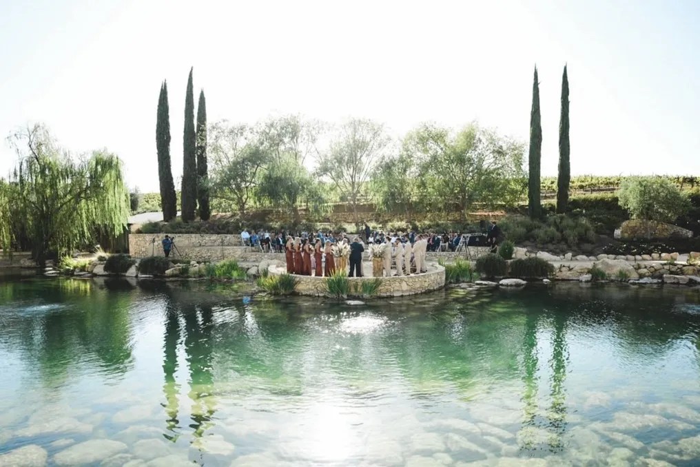 Terra Mia Vineyards #30