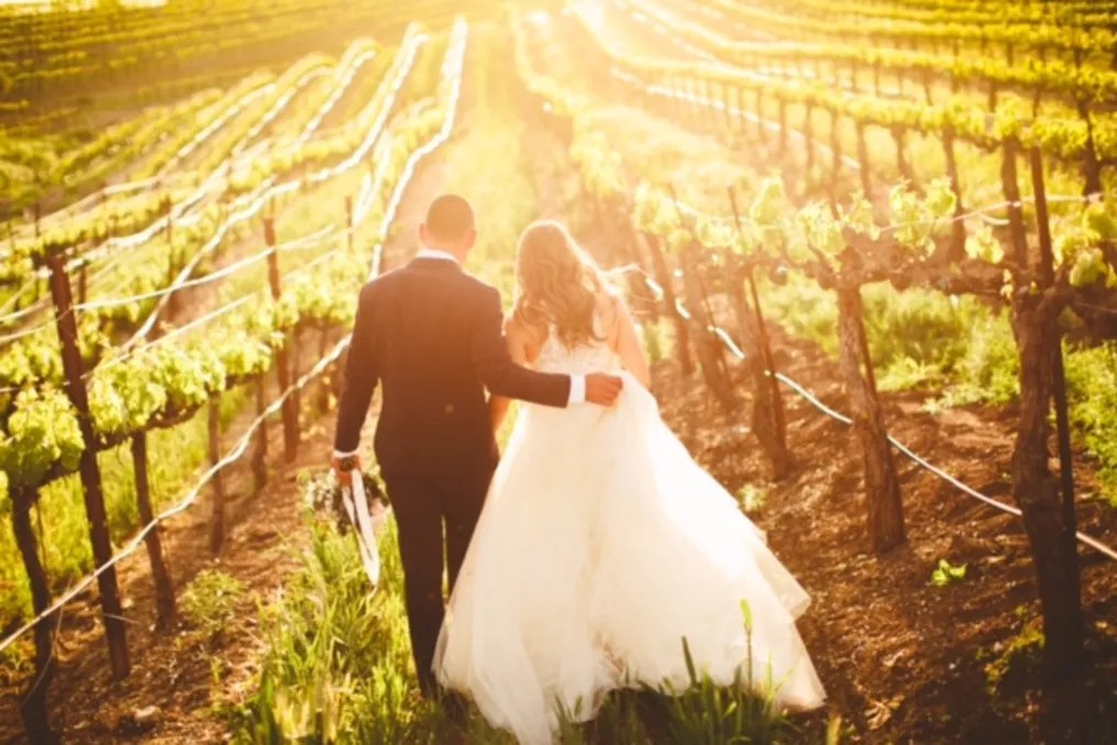 Terra Mia Vineyards #32