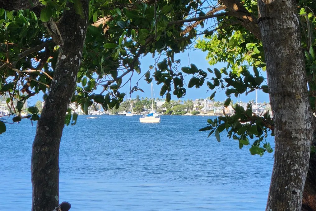 Cortez Dockside Cottages #12