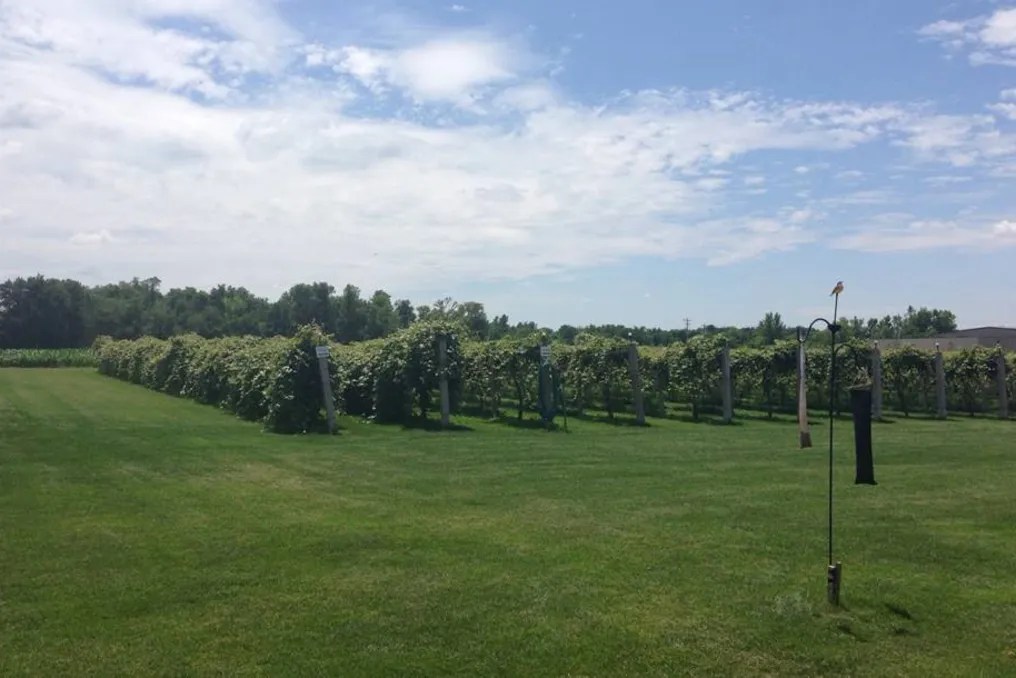 Lavender Crest Winery #21