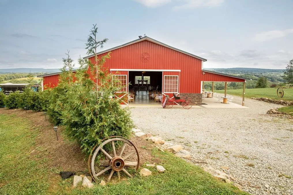 The Company Stables #35