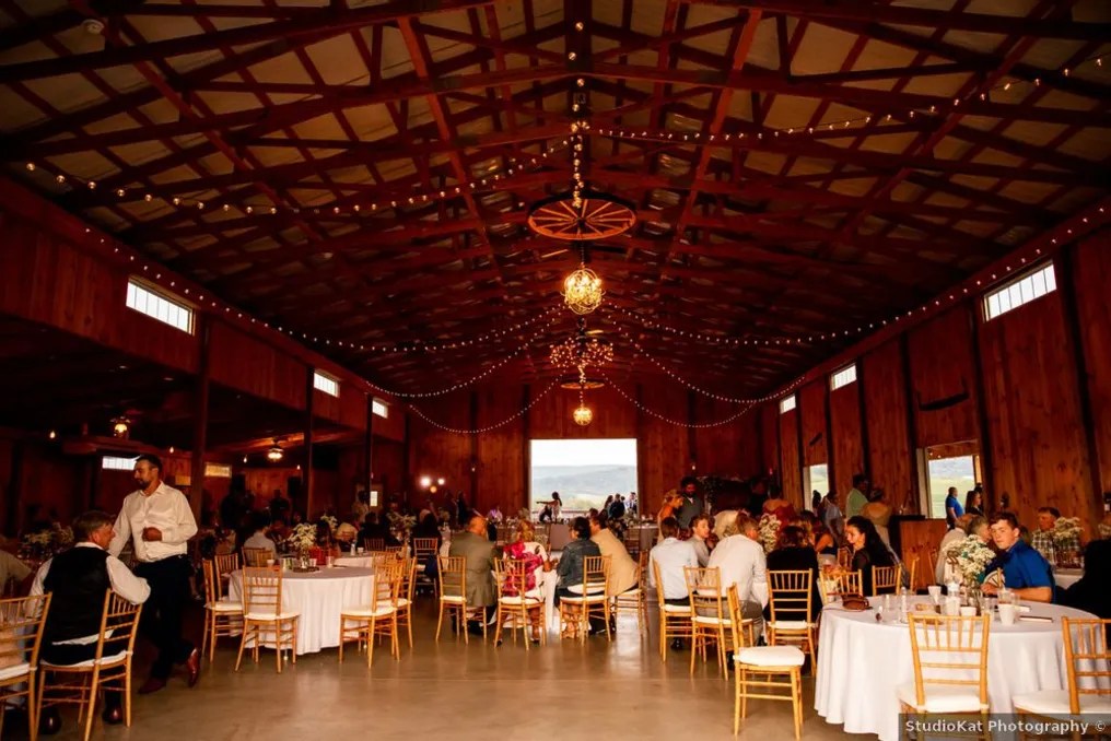 The Company Stables #39