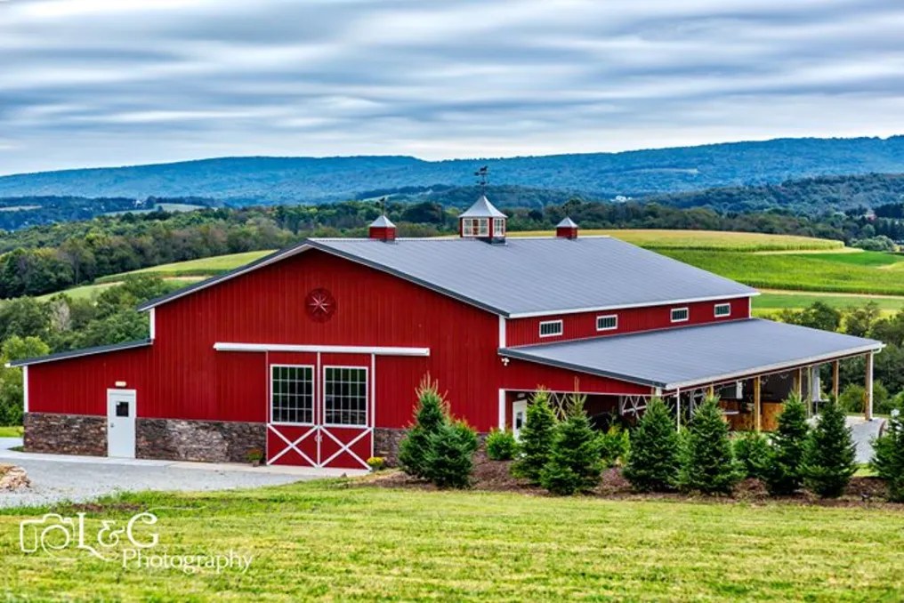 The Company Stables #40