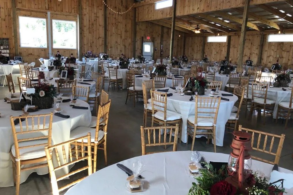 The Company Stables #50