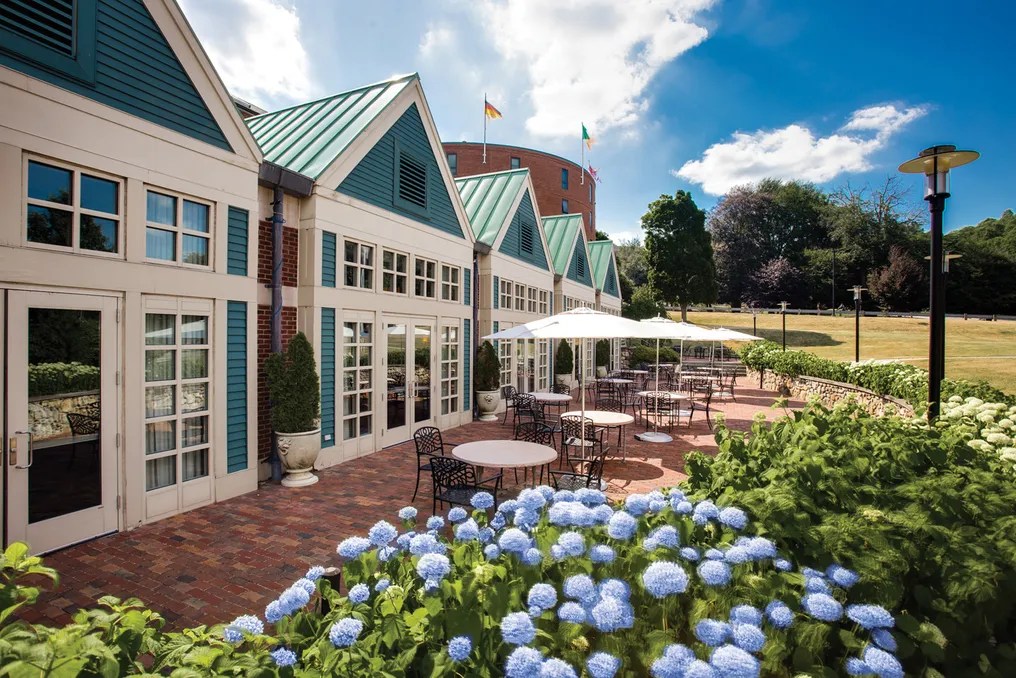 Beechwood Hotel #7