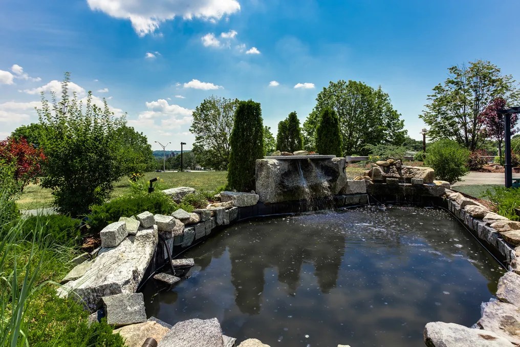 Beechwood Hotel #17