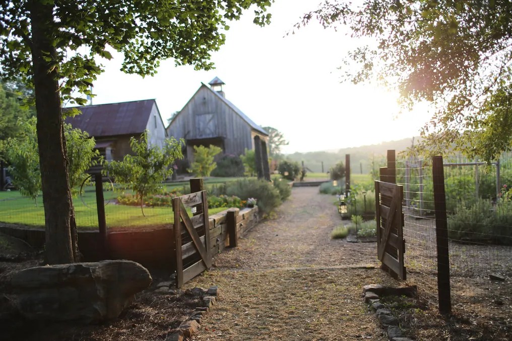 J&D farms #21