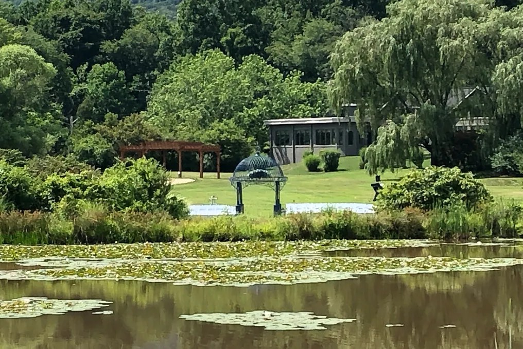 The Manor at Mountain View #8