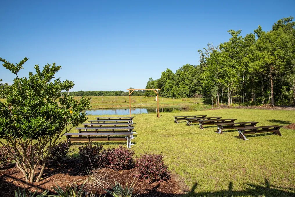 Woodland Meadows #3