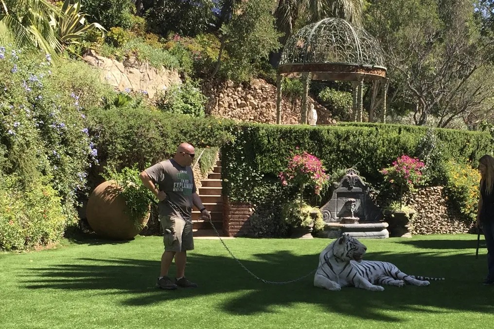 The Houdini Estate #80