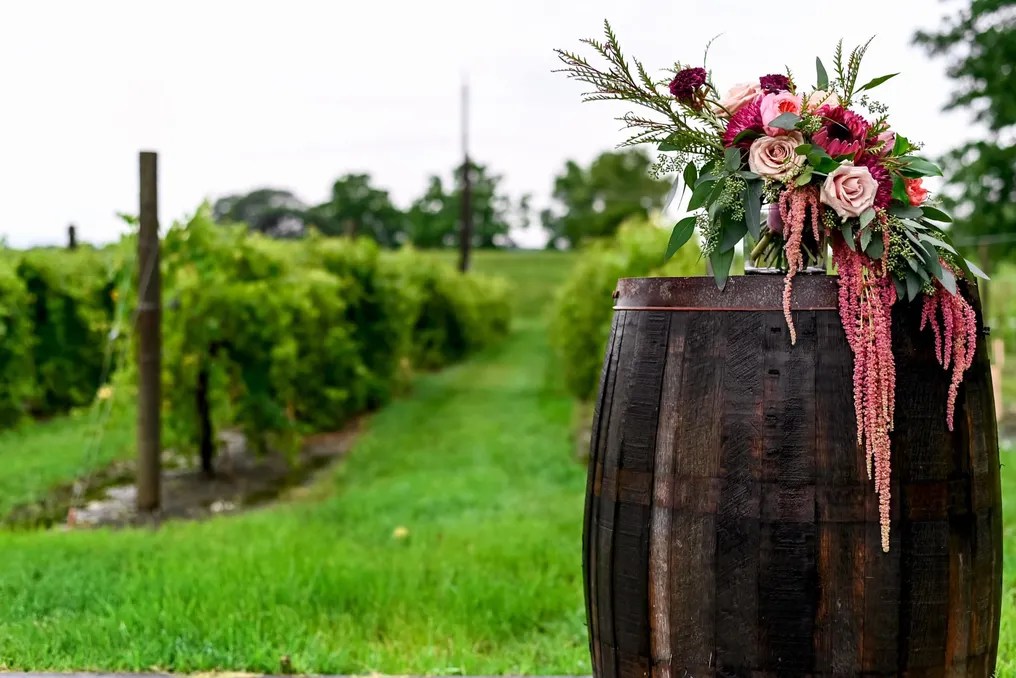 Jasper Winery #57