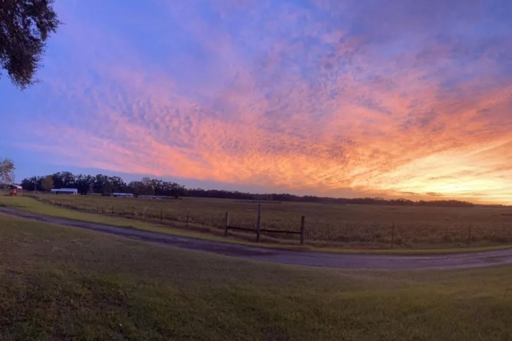 Oak Hill Farm #2
