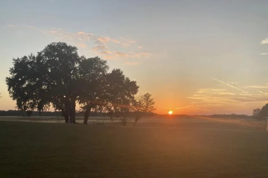 Oak Hill Farm #7