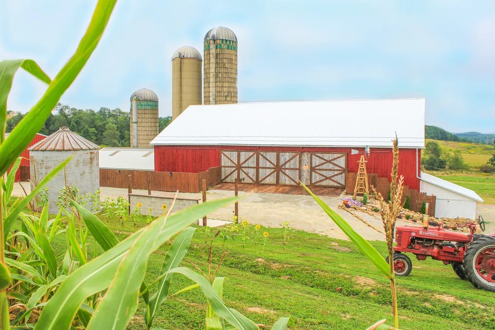 Joiner Farms Wedding & Event Barn #29