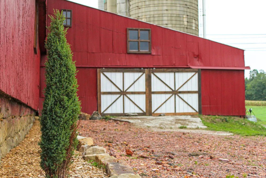 Joiner Farms Wedding & Event Barn #37