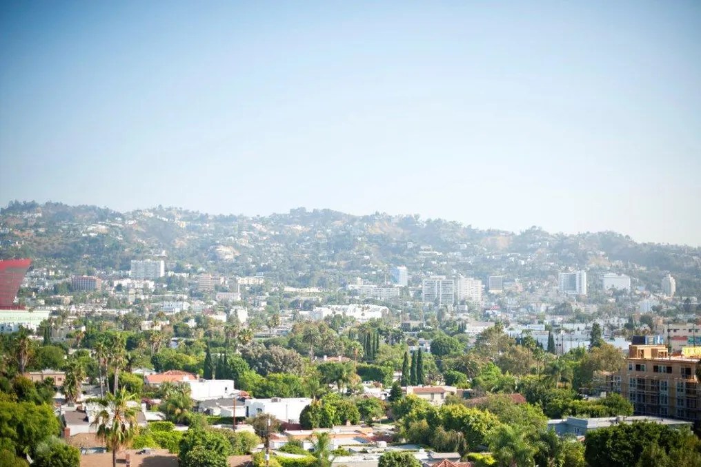 Sofitel Los Angeles at Beverly Hills #28