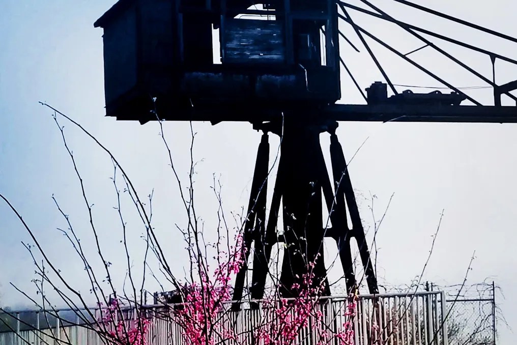 Hutton Brickyards #54