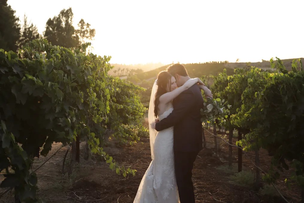 Falkner Winery #7