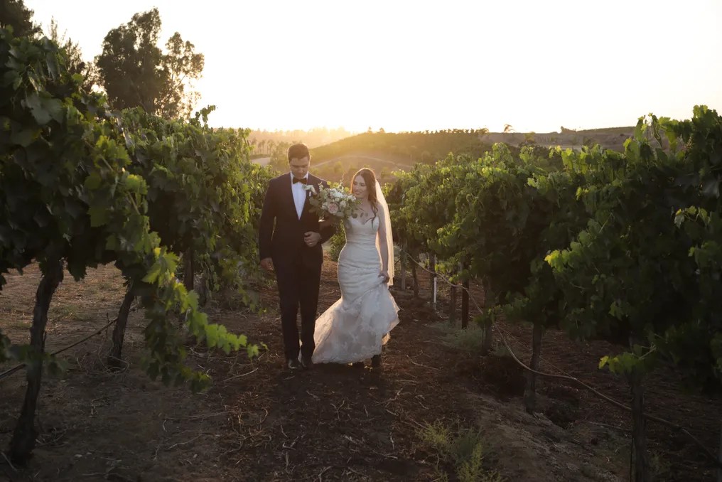 Falkner Winery #10
