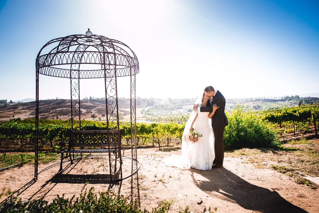 Falkner Winery #19