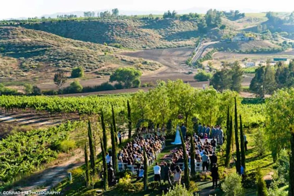 Falkner Winery #23