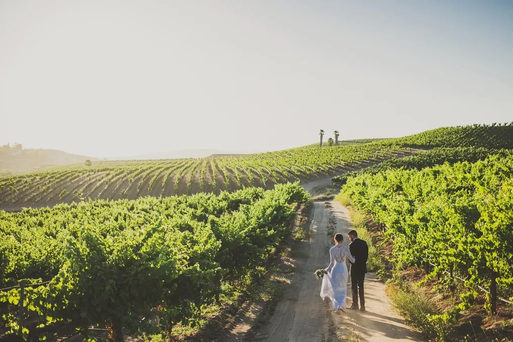 Falkner Winery #26