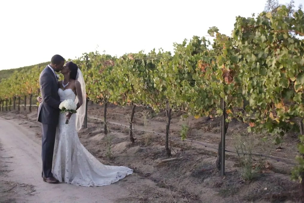 Falkner Winery #28