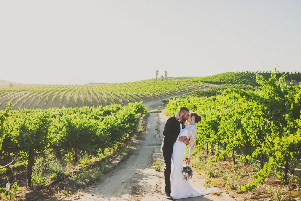 Falkner Winery #30