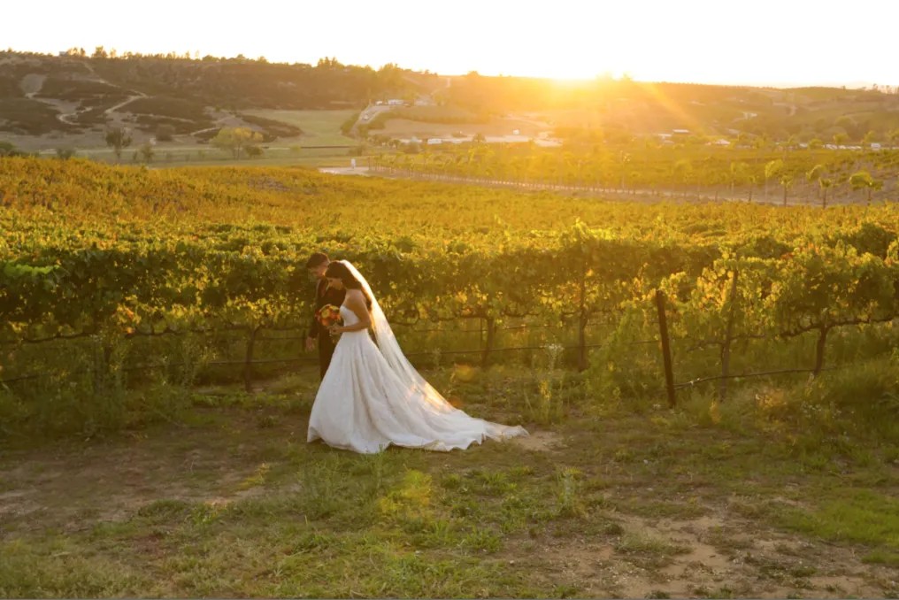 Falkner Winery #38