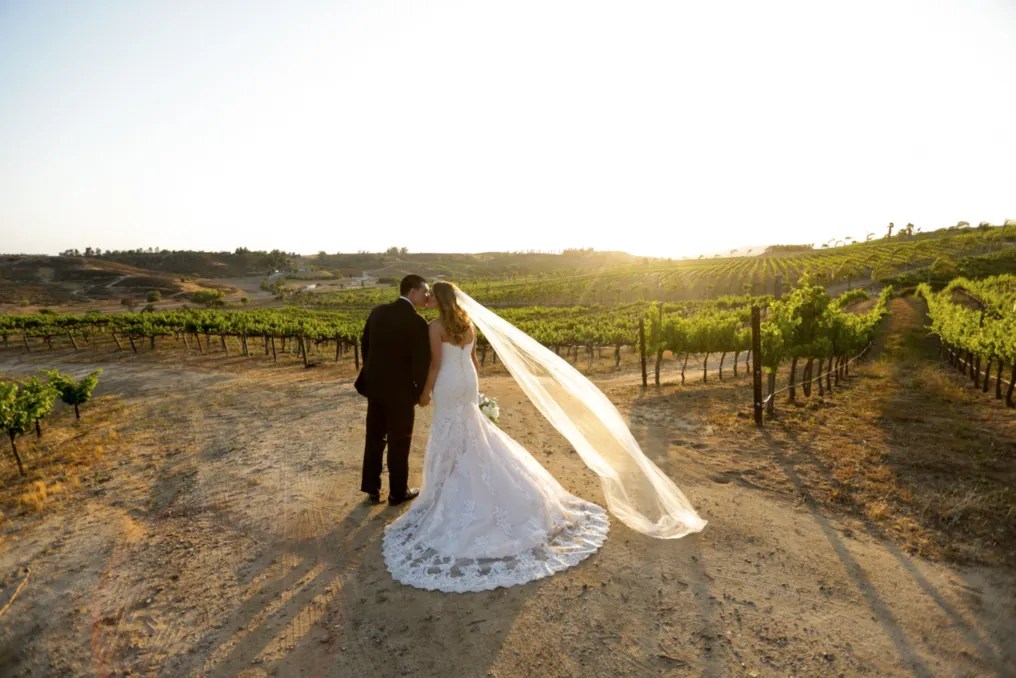 Falkner Winery #39