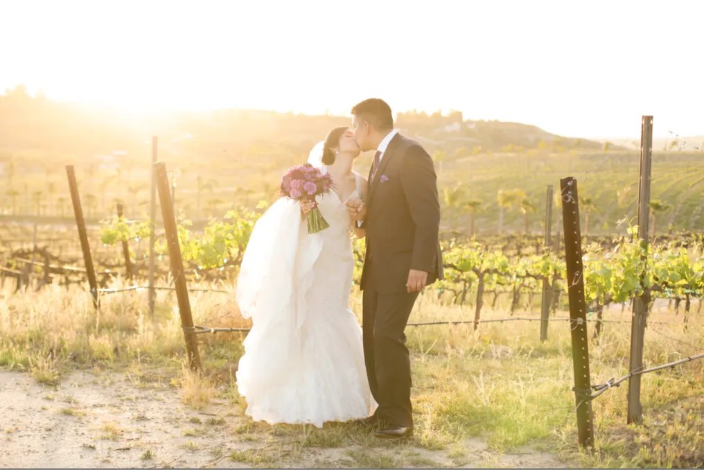 Falkner Winery #40