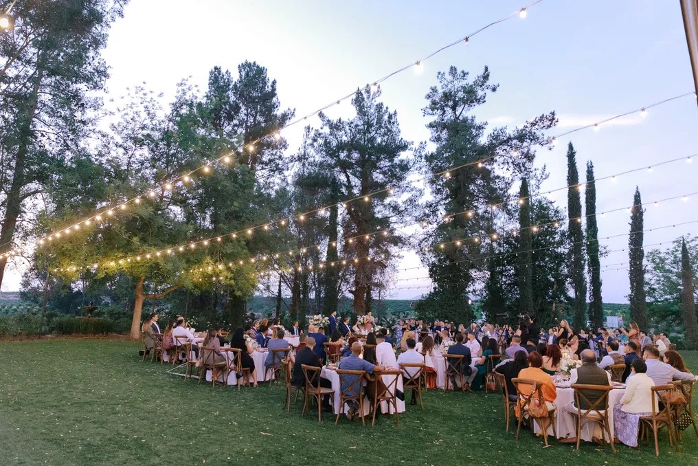 Falkner Winery #44
